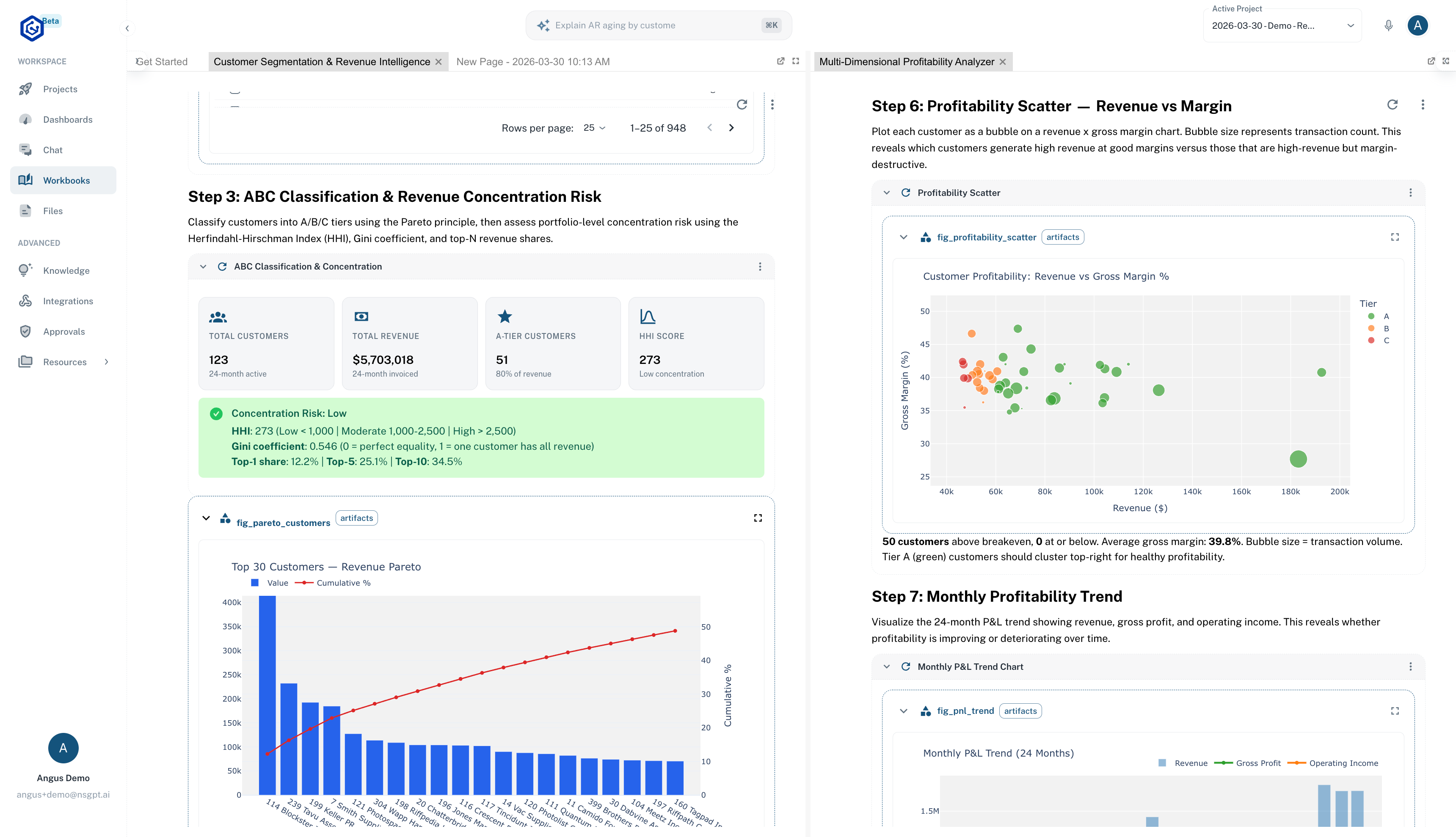 NSGPT workbook showing customer segmentation, revenue intelligence, and profitability analysis